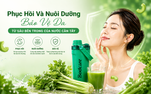 Tác Dụng Phục Hồi Và Nuôi Dưỡng Hàng Rào Bảo Vệ Da Từ Sâu Bên Trong Của Nước Cần Tây
