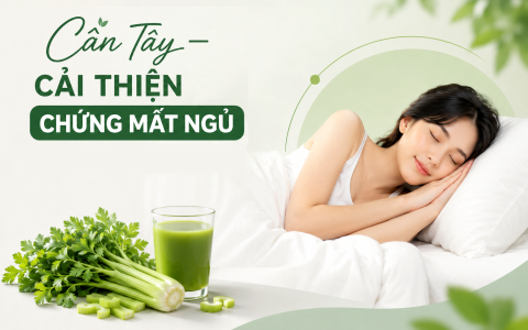 Cần Tây – "Vũ Khí Bí Mật" Cải Thiện Chứng Mất Ngủ Và Giảm Căng Thẳng Cho Dân Văn Phòng