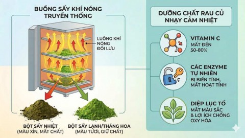 Công Nghệ Sấy Nhiệt Là Gì? Vì Sao Không Nên Dùng Cho Bột Rau Củ Dinh Dưỡng?